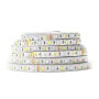 Светодиодная лента RGB+WW SMD5050 (300 светодиодов, 12 В, 5 м, IP65)