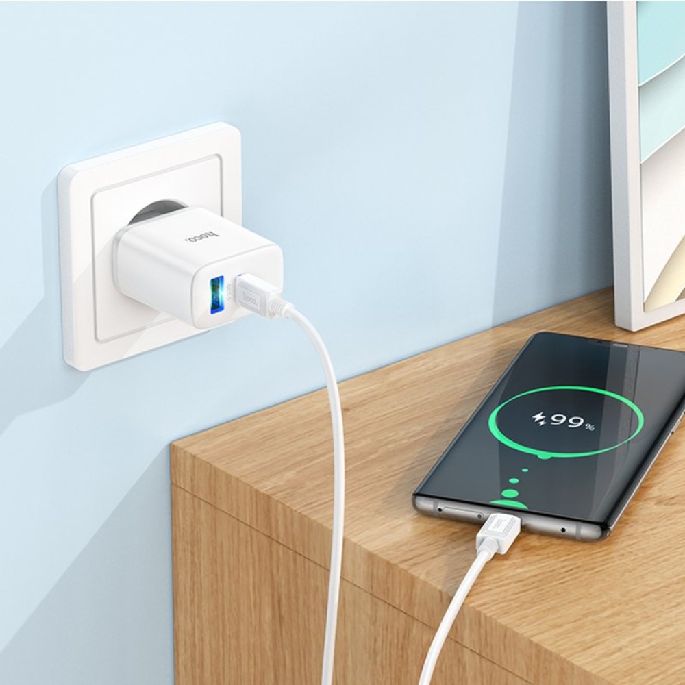 Сетевое зарядное устройство Hoco C105A, 20 Вт, Power Delivery (PD), 220 В, белый, c кабелем USB тип-C к USB тип-C, 2 порта, #6931474782922
