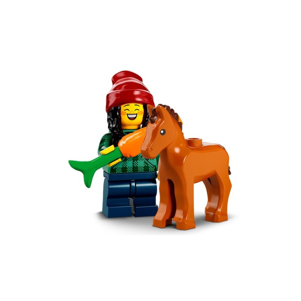 Конструктор LEGO Минифигурки Выпуск 22 71032