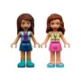 Конструктор LEGO Friends Лісовий водоспад (41677)