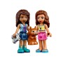 Конструктор LEGO Friends Лісовий водоспад (41677)