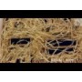Конструктор COKO Строительные кубики 14