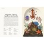 Книга "Анімаліум" - Брум Дженни