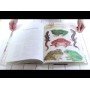 Книга "Анімаліум" - Брум Дженни