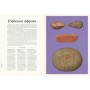 Книга Історіум - Нельсон Джо