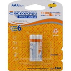 Акумулятор Аско-УкрЕМ NH-AAA1100 EC (blister 2)