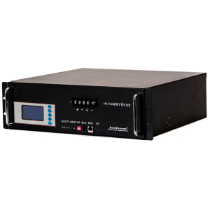 Аккумуляторная батарея EverExceed EV4850-T-15D