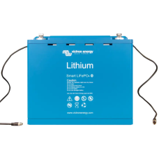 Акумуляторна батарея Victron Energy LiFePO4 Battery EcoLiFe LF12-100