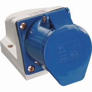 Розетка стационарная ИЭК 113 16А 220В 2Р+PЕ (PSR11-016-3)