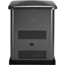 Генератор газовый Briggs & Stratton GEN 6000