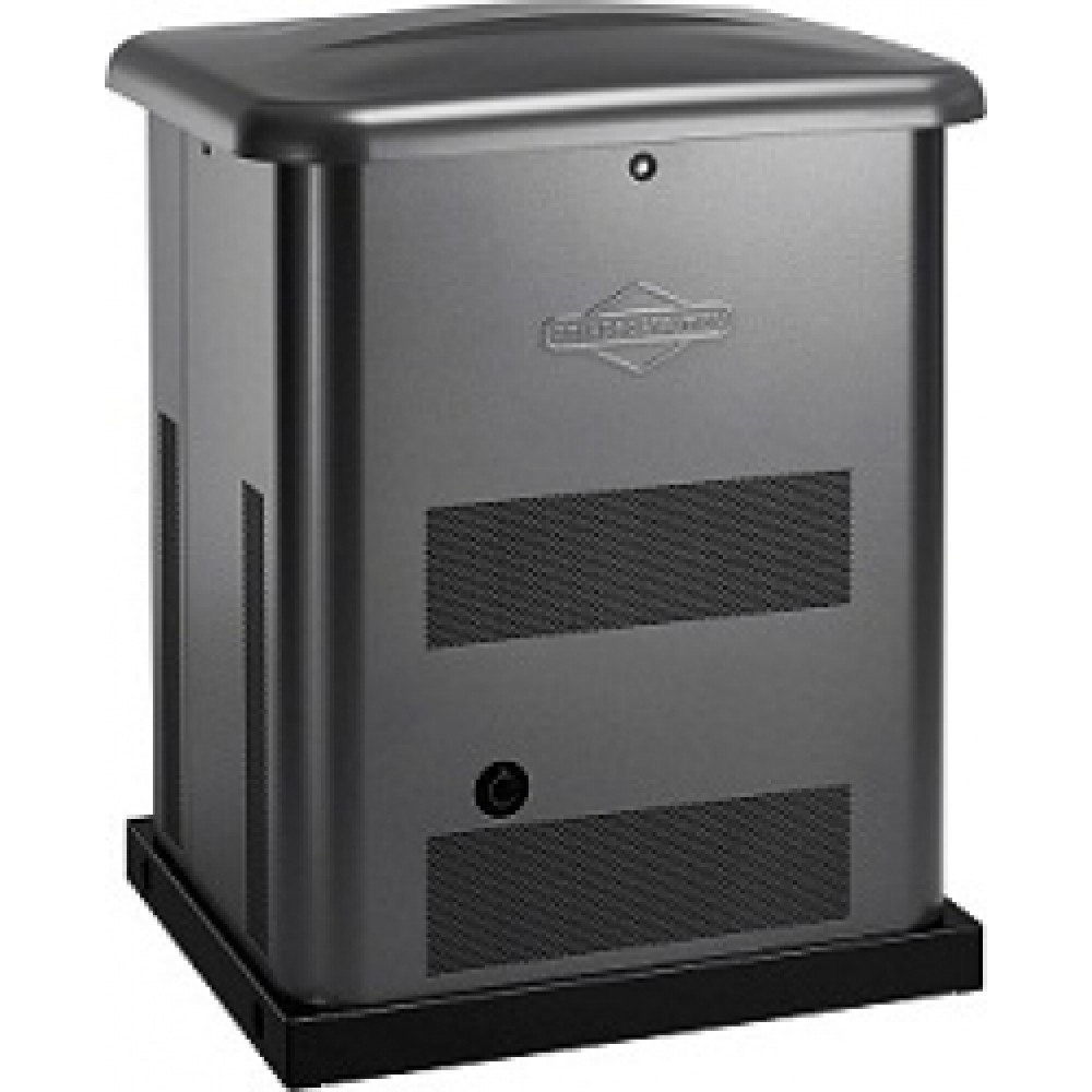 Генератор газовый Briggs & Stratton GEN 8000