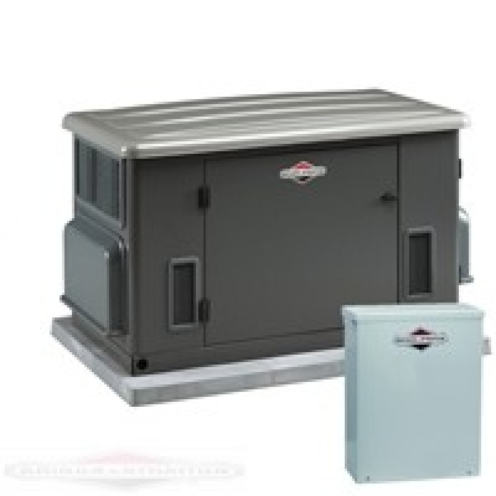 Генератор газовый Briggs & Stratton 040297