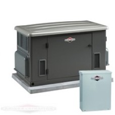 Генератор газовый Briggs & Stratton 040297