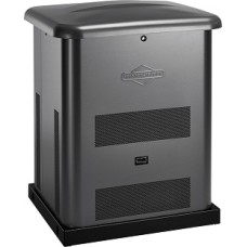 Генератор газовый Briggs & Stratton 040494