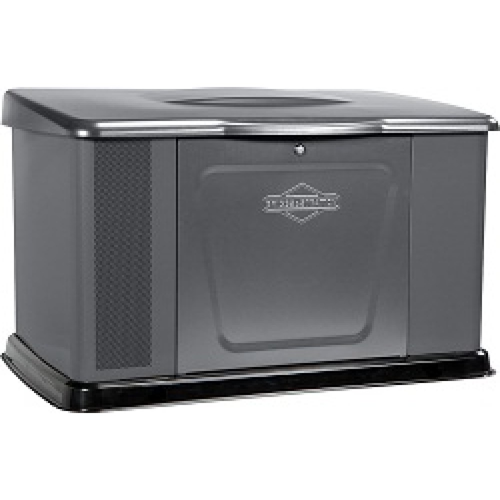 Генератор газовый Briggs & Stratton 040489