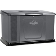 Генератор газовый Briggs & Stratton 040489