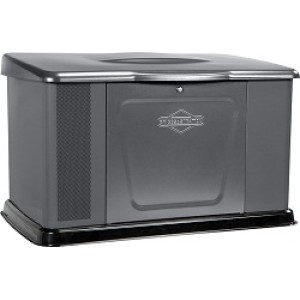 Генератор газовий Briggs&Stratton 040489