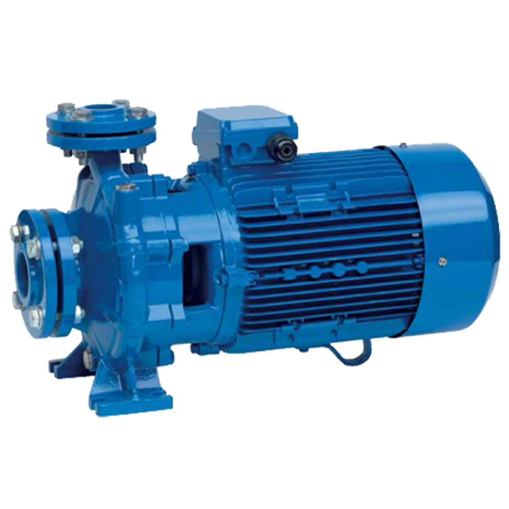 Насос поверхностный Speroni CS 40-200 A(101801320)