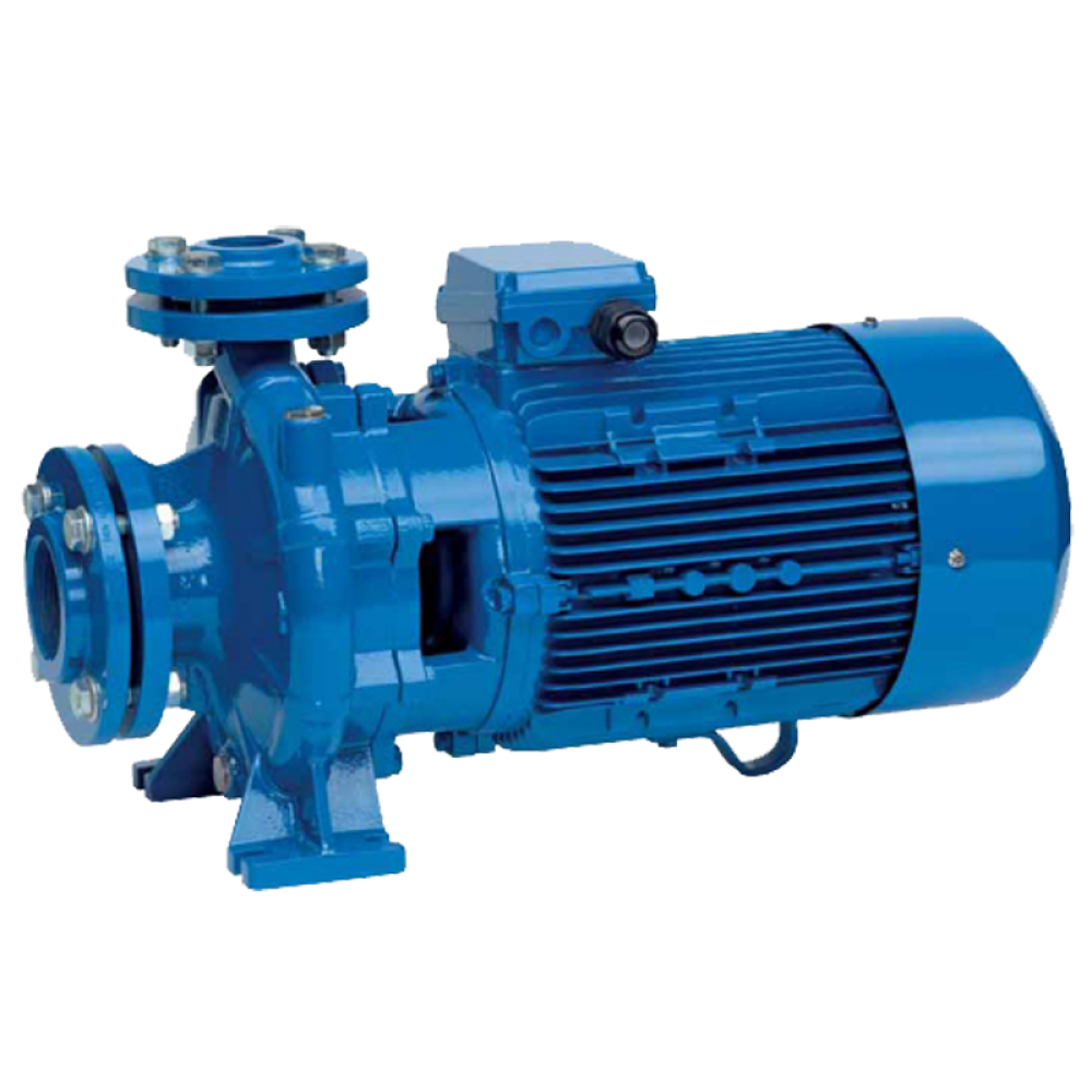 Насос поверхностный Speroni CS 50-200 B(101802440)
