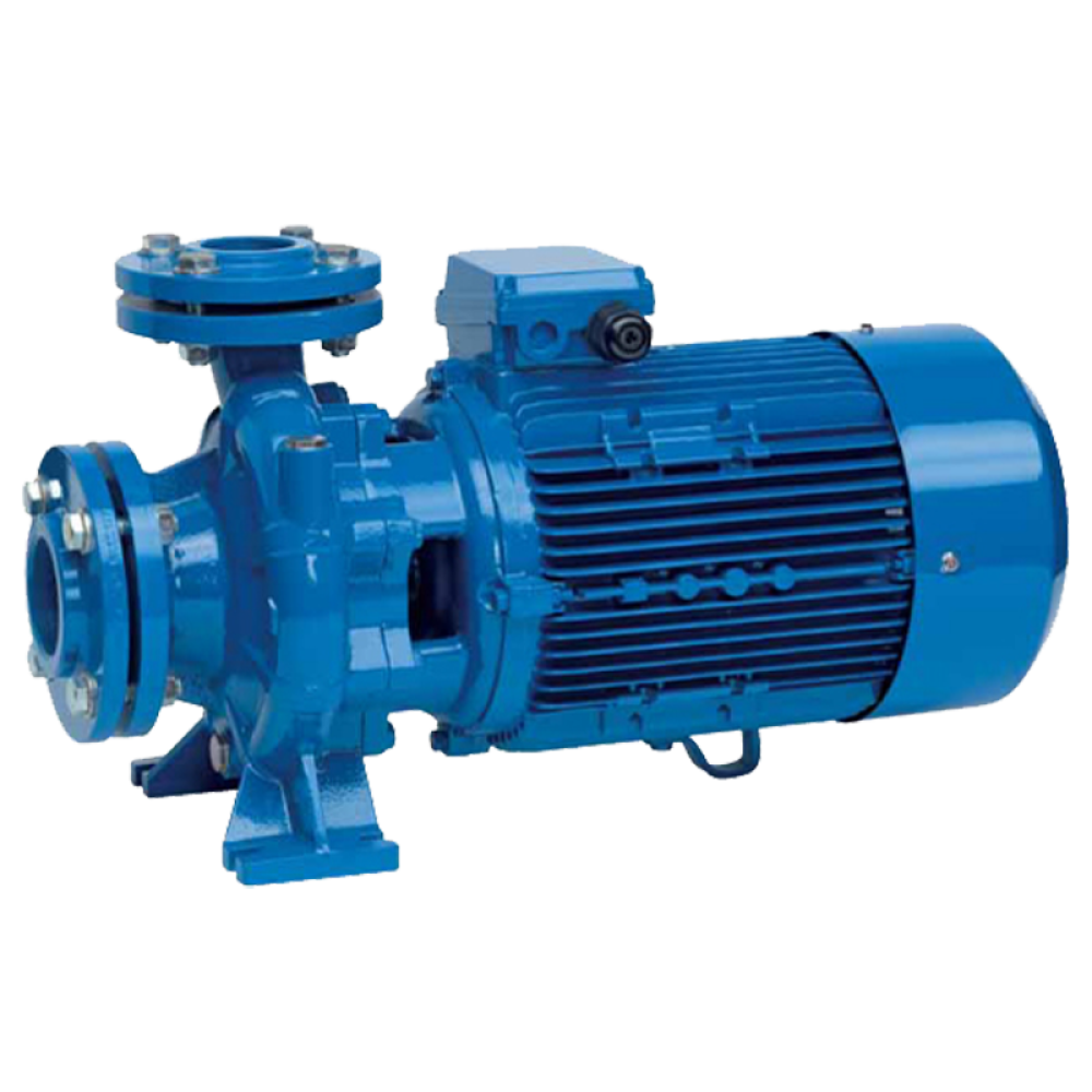 Насос поверхностный Speroni CS 65-160 A(101803420)