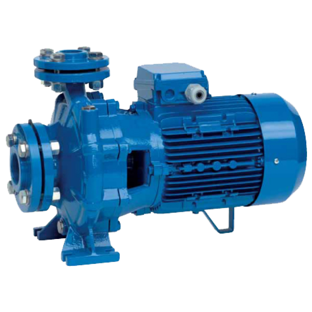 Насос поверхностный Speroni CS 32-250 C(101800440)