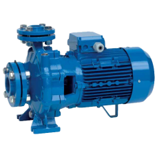 Насос поверхностный Speroni CS 32-250 C(101800440)
