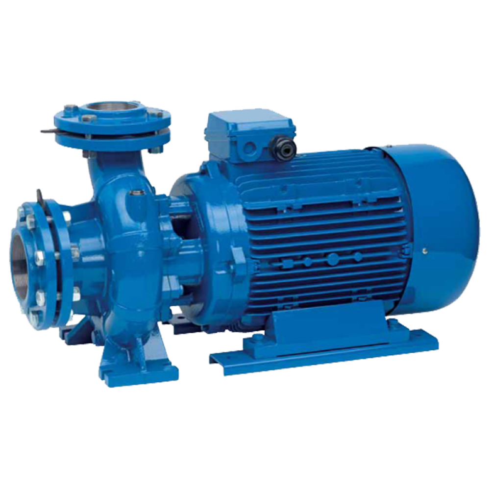 Насос поверхностный Speroni CS 80-160 C(101804390)